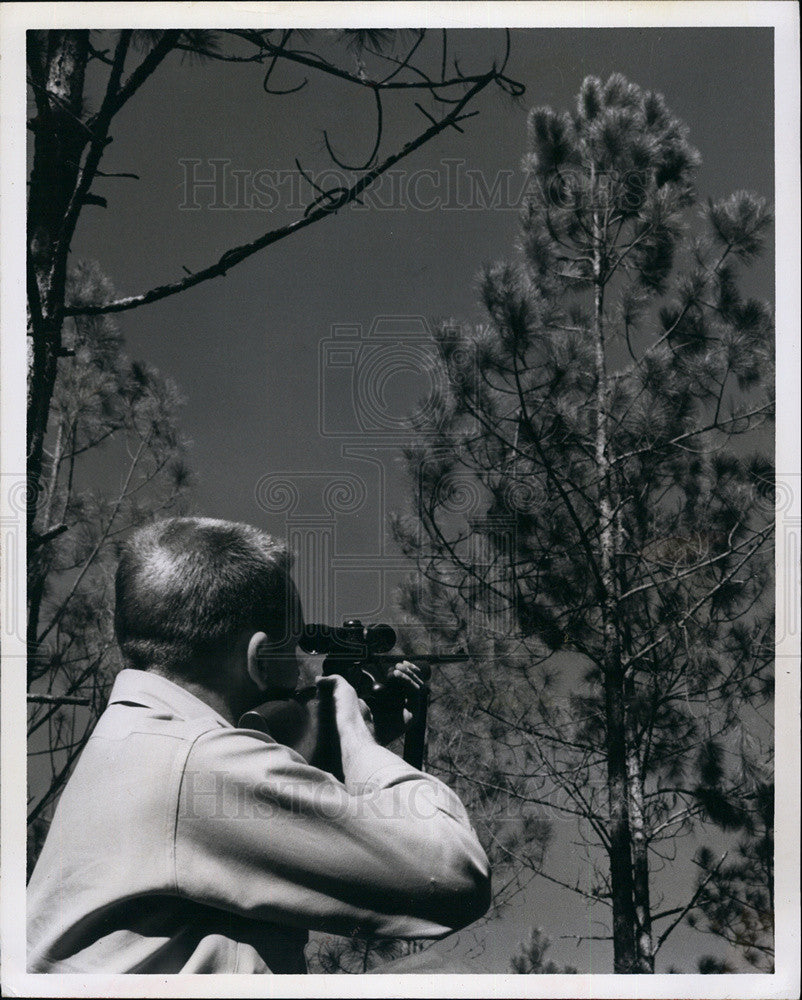 1966 Press Photo Florida Forestry Services cuttings shot off with rifle - Historic Images