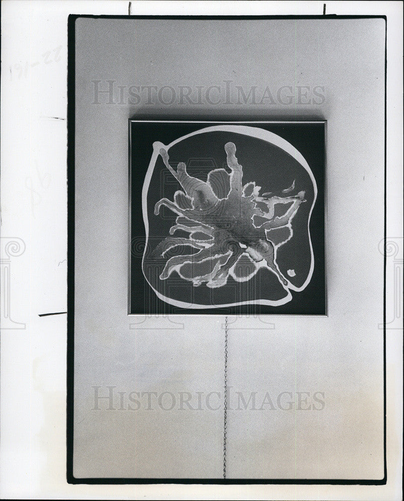 1978 Press Photo Painting Shirley Frank GREEN ISLAND Gulf Beaches Public Library - Historic Images