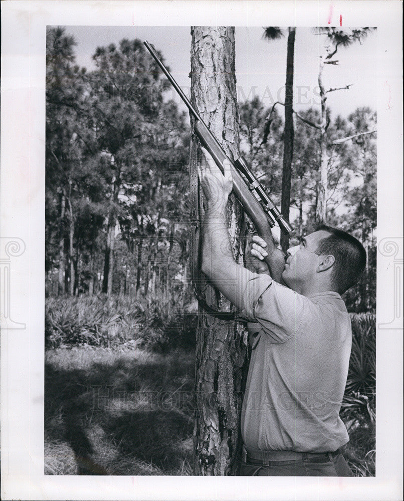 1964 Press Photo Shooting Down Limbs For Replanting Forests - Historic Images