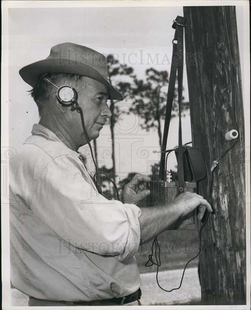 1947 Press Photo W.H. Jones chief Pinellas ranger portable phone pole report - Historic Images