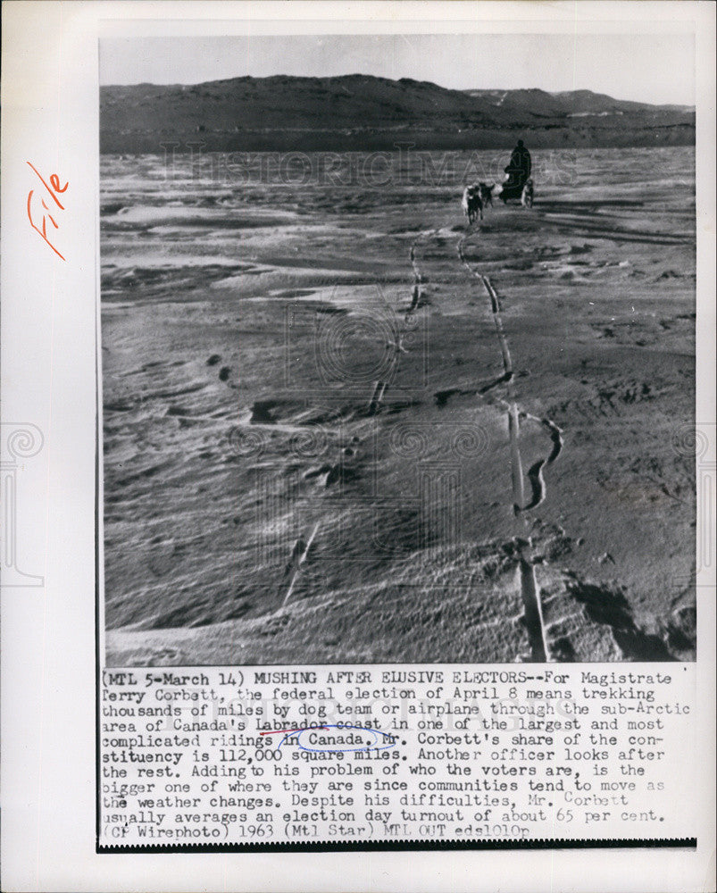 1963 Press Photo Magistrate Terry Corbett Mushing - Historic Images