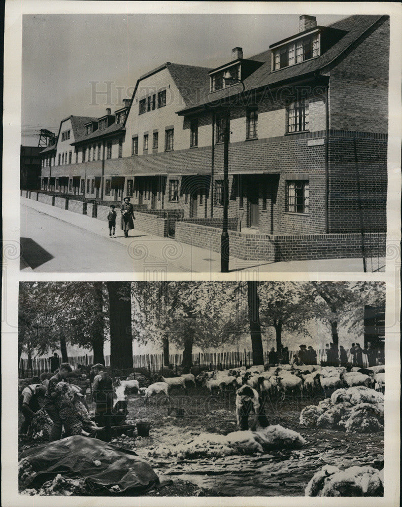 1949 Press Photo Sheep and Cottage-style buildings in Britain - Historic Images