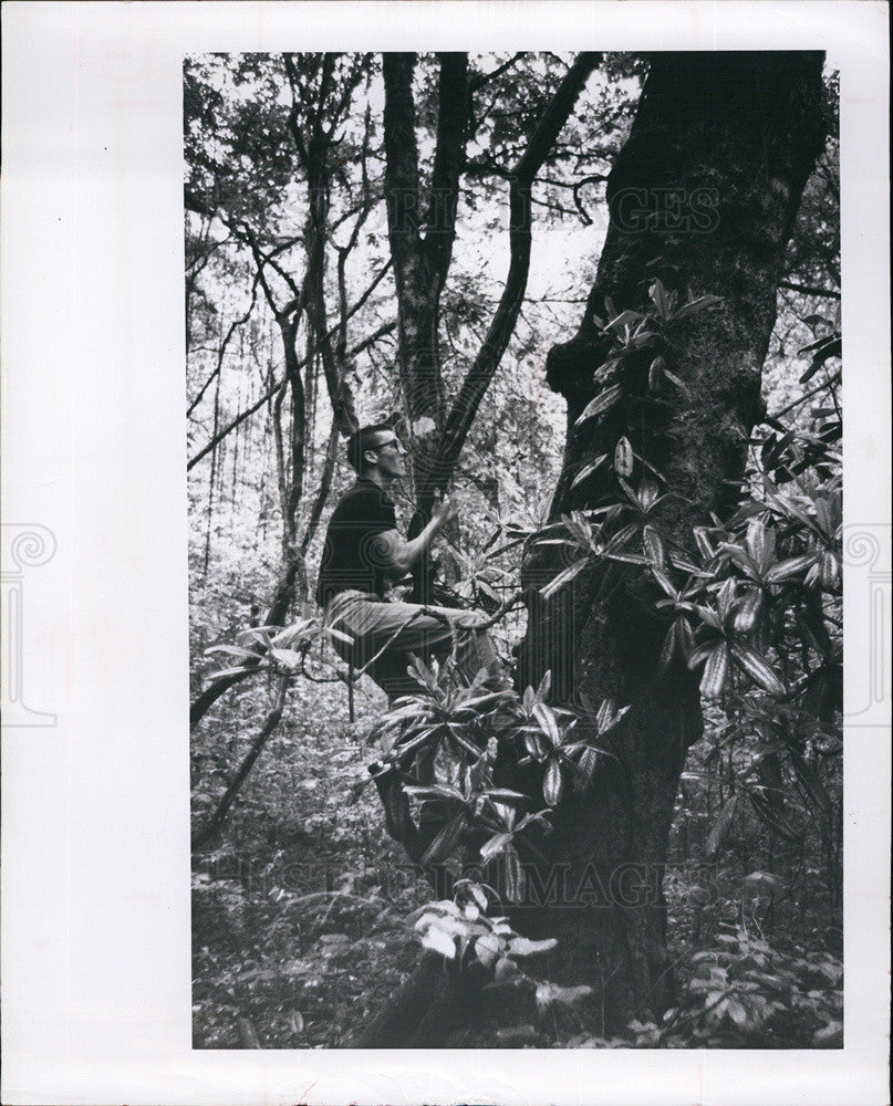 1960 Press Photo none - Historic Images