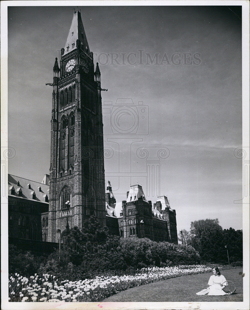 Press Photo Hundreds of Civic Garden to Contain Tulip Donated to Canada - Historic Images