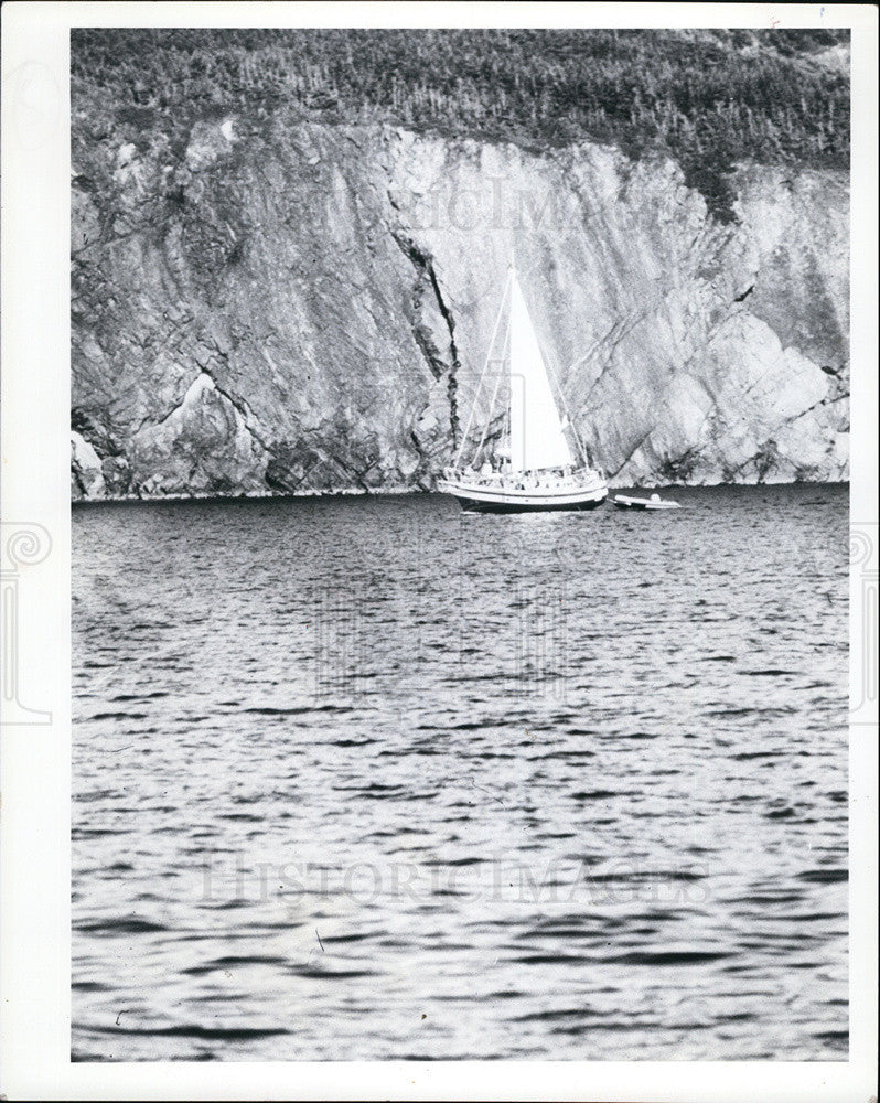 1982 Press Photo Whale watching in Newfoundland - Historic Images