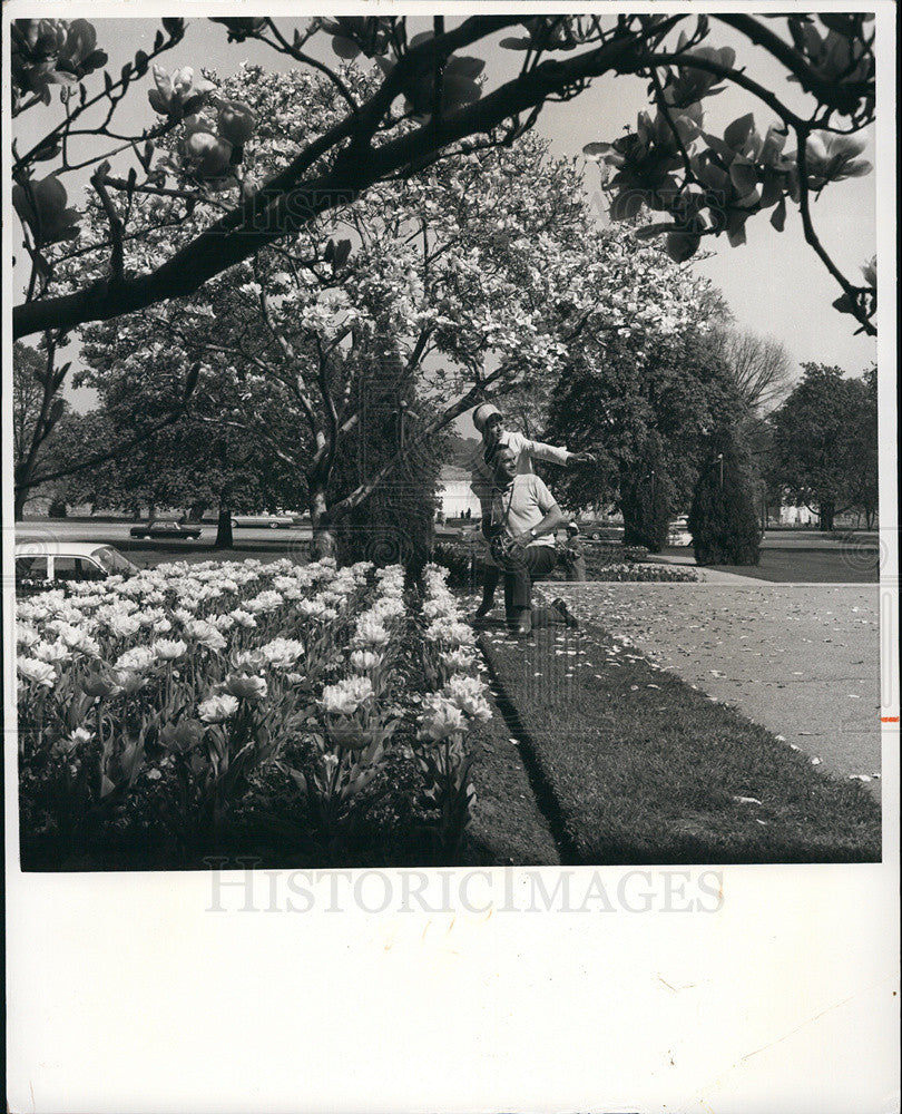 1974 Press Photo Visitors at Niagra Falls tulip garden - Historic Images