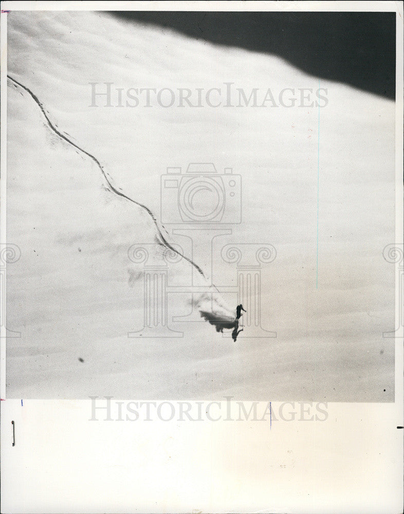 1975 Press Photo Duck On Pond In British Columbia - Historic Images