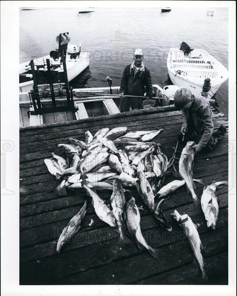 1982 Press Photo Cod Tongues Are Unique Delicacy In Newfoundland, Canada - Historic Images