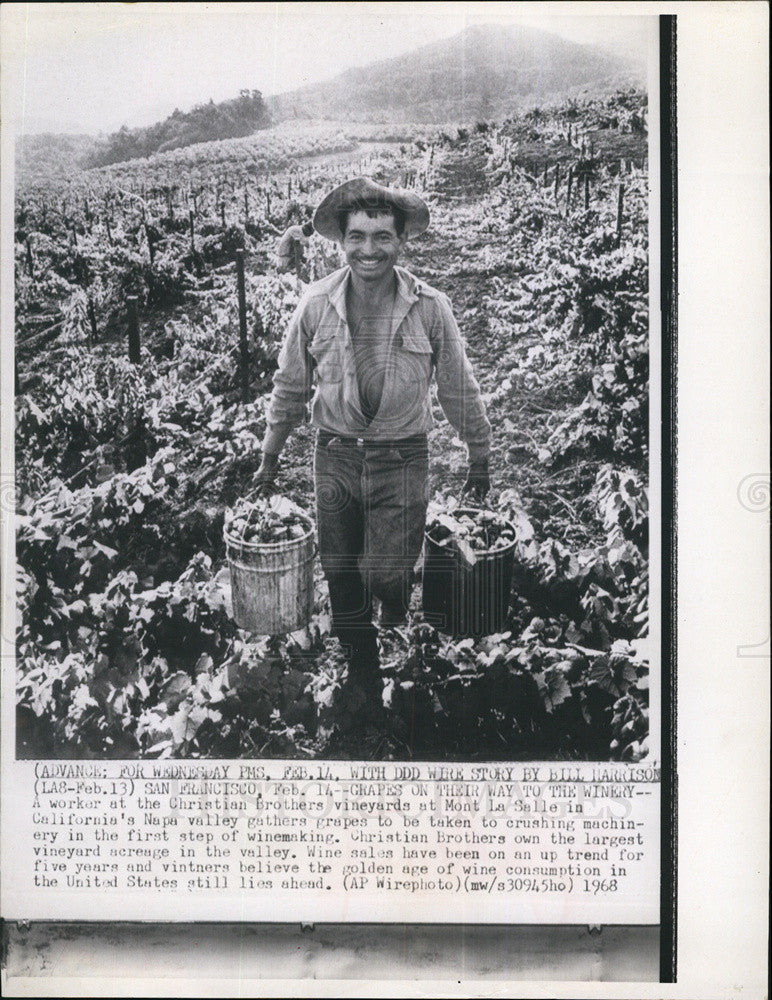 1968 Press Photo Worker At Christian Brothers Vineyard - Historic Images