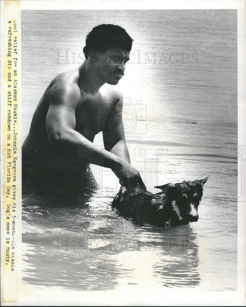 1972 Press Photo Johnnie Hargrove and his puppy swim on hot Florida day - Historic Images