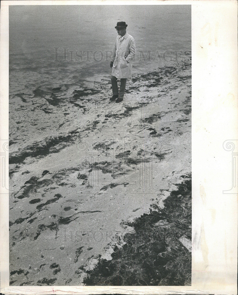 1976 Press Photo of Earl Walton at eroded Boca Ciega Bay beach - Historic Images