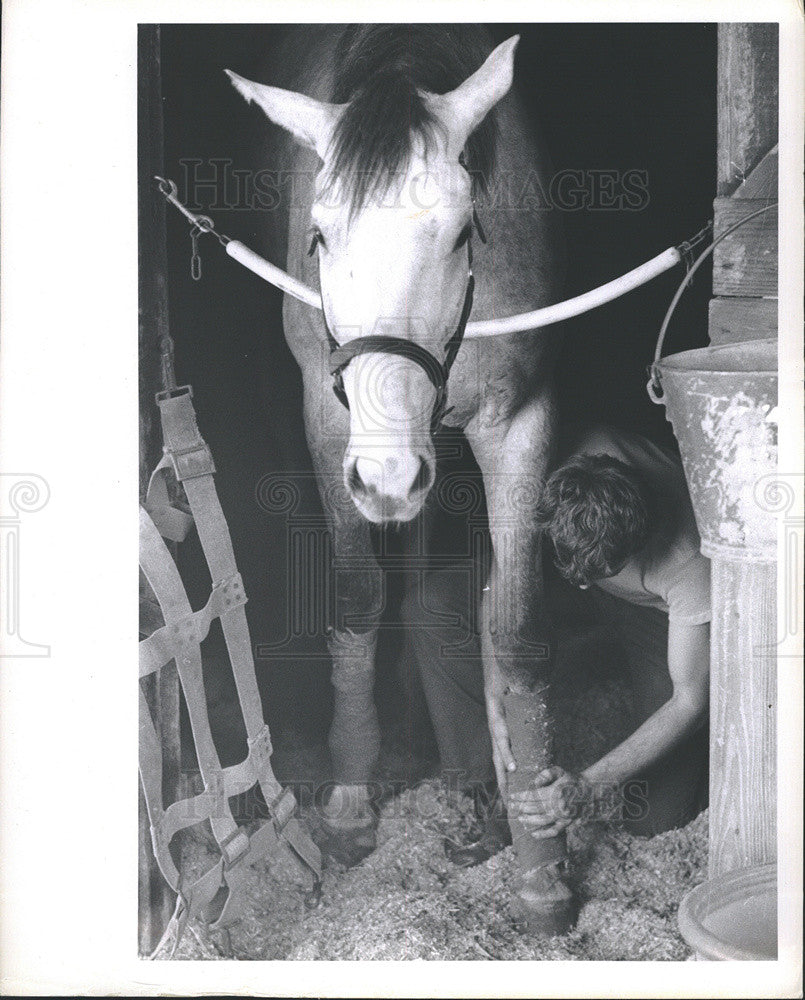 1973 Press Photo Workers Prepare for Florida Downs Horse Race - Historic Images