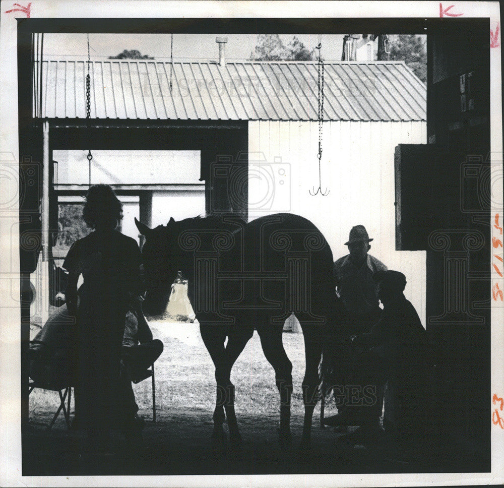 1975 Press Photo Florida Downs Racetrack Stables - Historic Images