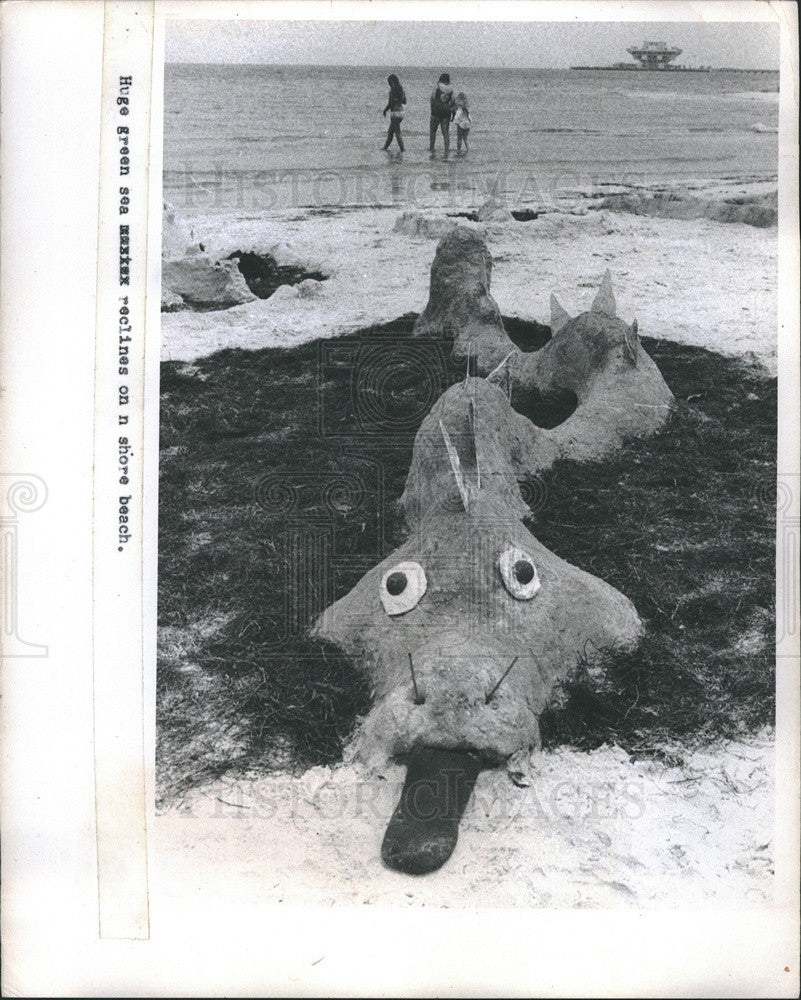 1973 Press Photo sand creation - Historic Images