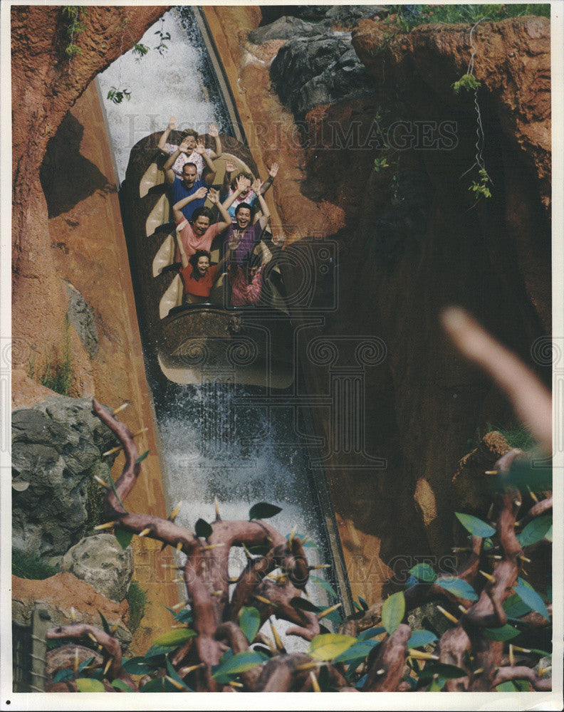 1992 Press Photo Guests plunge down the water flume at Splash Mountain. - Historic Images