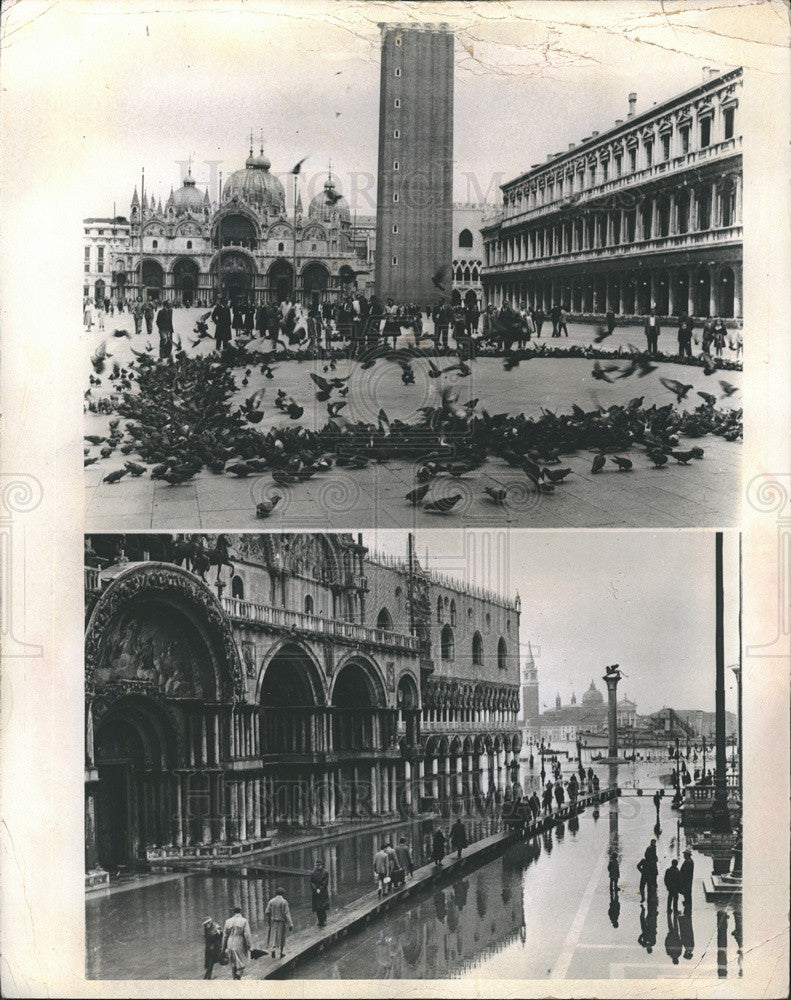 1971 Press Photo Pigeons Flock St. Martin&#39;s Square - Historic Images