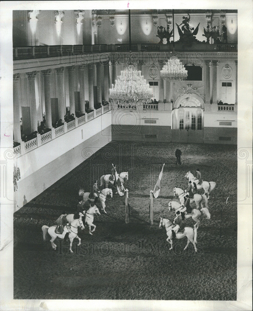 1964 Press Photo Home vienna spanish riding school academy horses - Historic Images