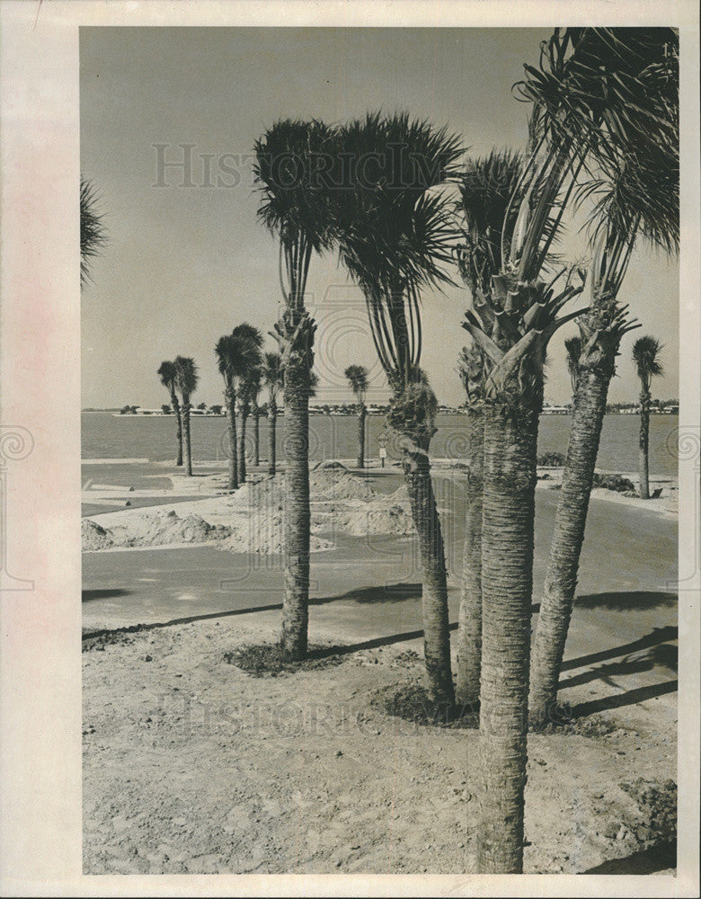 1966 Press Photo Belleair Causeway Park - Historic Images