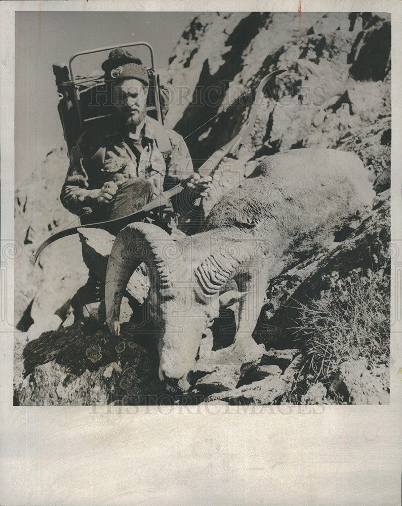 1973 Press Photo Steve gorr and Bighorn sheep he shot with bow and arrow,Colo. - Historic Images