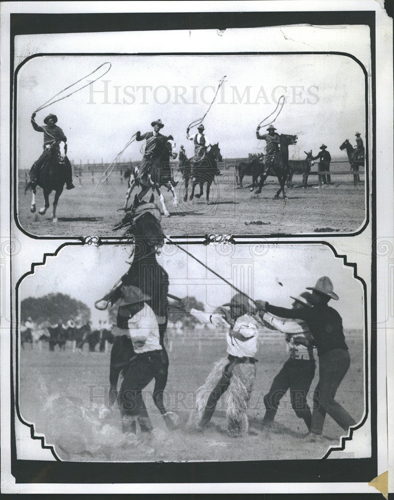 1979 Press Photo Exhibition Riding Saddle-Bronc riding chutes Cheyenne Frontier - Historic Images