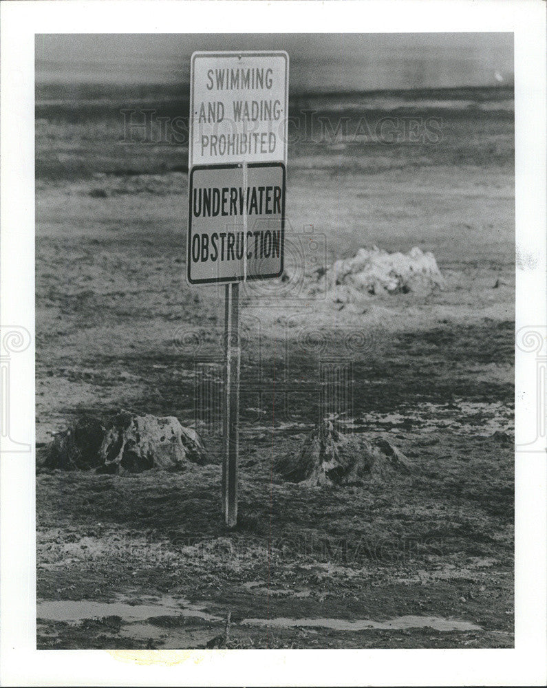 1981 Press Photo Draining of Taylor Lake creates field day for hungry birds - Historic Images