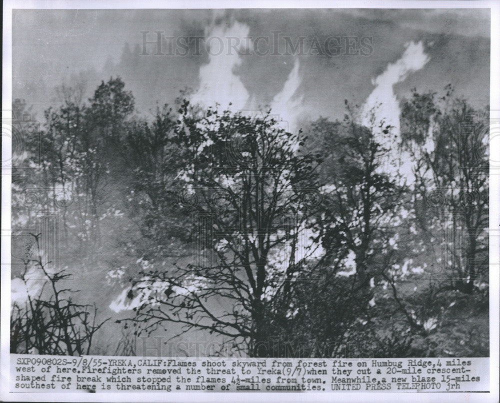 1955 Press Photo Flames Forest Fire Humbug Ridge Yreka California 20 Mile Blaze - Historic Images