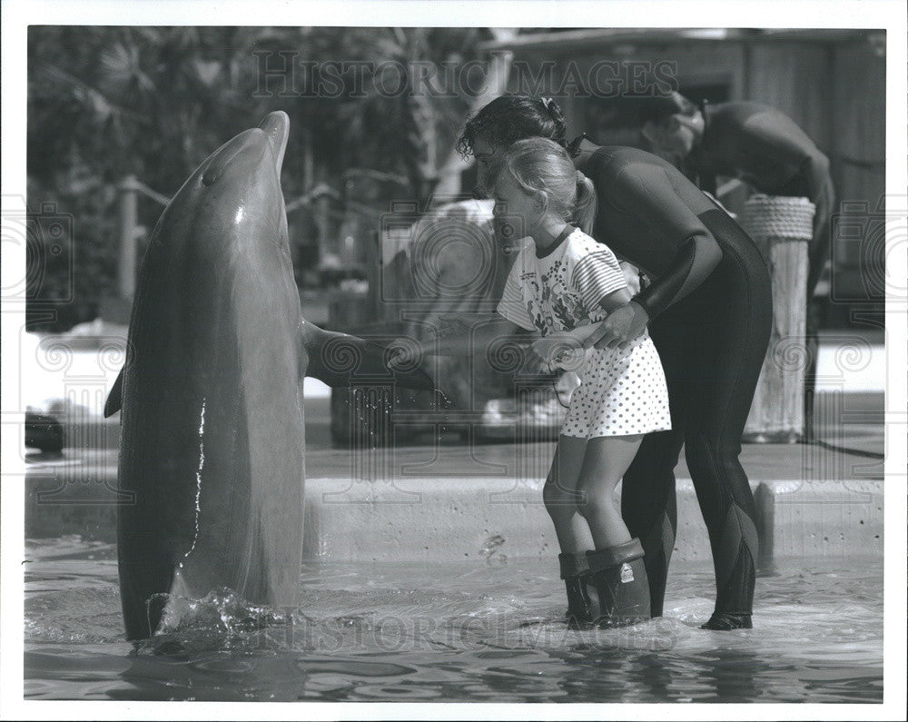 1991 Press Photo Sea Worlds Dolphin High Fives Child at Sea World - Historic Images