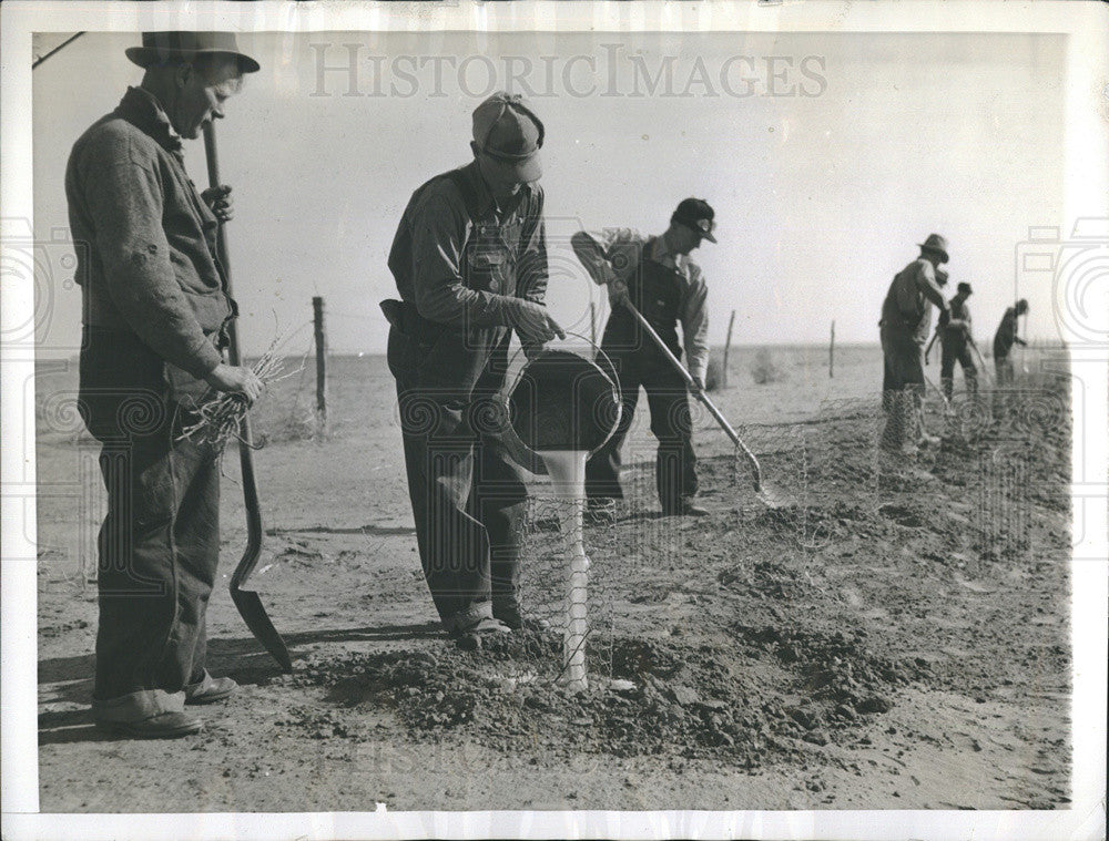 1937 Press Photo The reforestation process - Historic Images