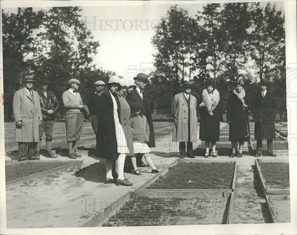 1930 Press Photo Forests Reforestation In Detroit, Pine Seed Beds At Nursery - Historic Images