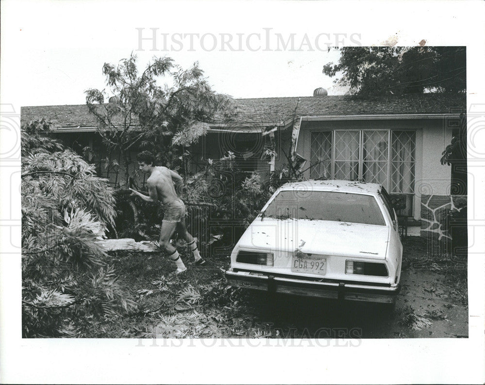 1983 Press Photo Clearwater resident Al Gallardo tree lightning  silver oak - Historic Images