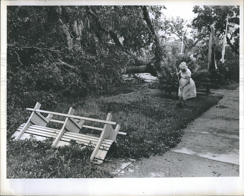 1980 Press Photo St. Petersburg resident lawn broom Hurricane Alma - Historic Images