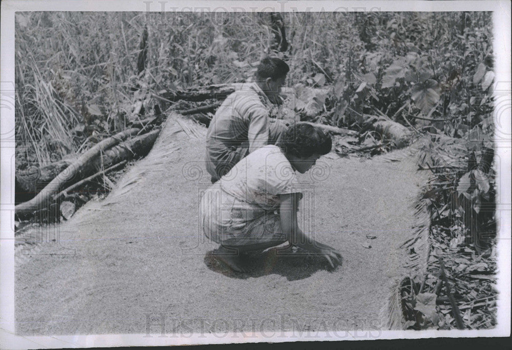 1953 Press Photo Colony Of Reformed Communists In Mindanao, Philippines Island - Historic Images