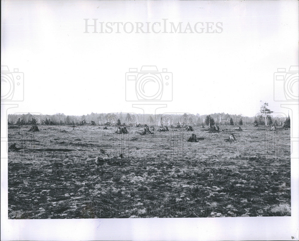 1962 Press Photo Boyd SImmons State Park Michigan - Historic Images