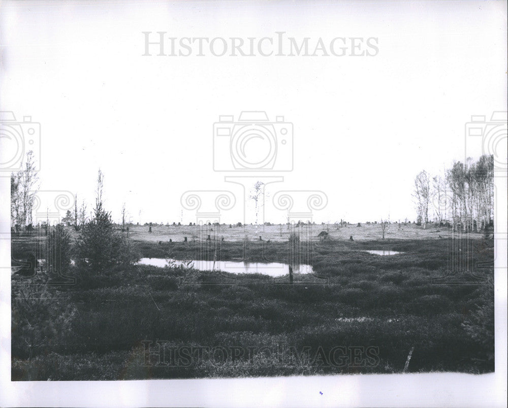 1962 Press Photo Boyd Simmons State Park Michigan - Historic Images