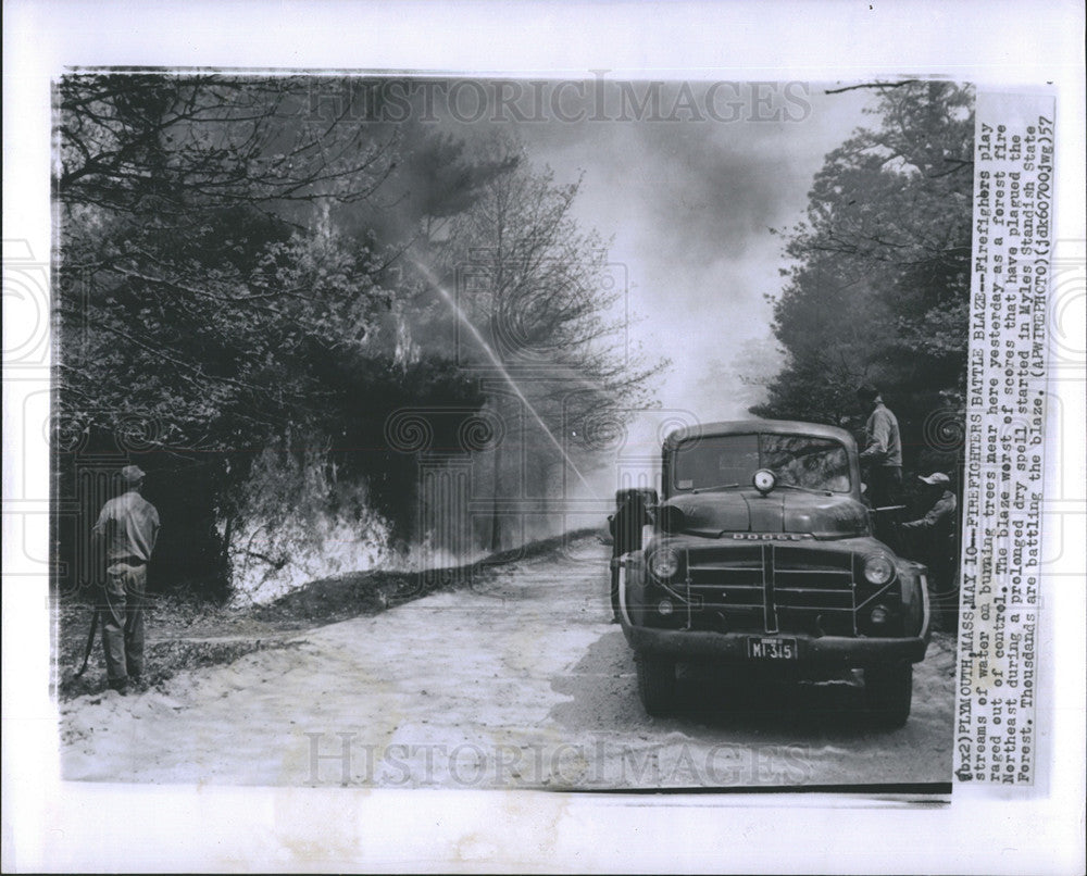 1957 Press Photo Firefighters Battling Forest Fire Plymouth Massachusetts - Historic Images