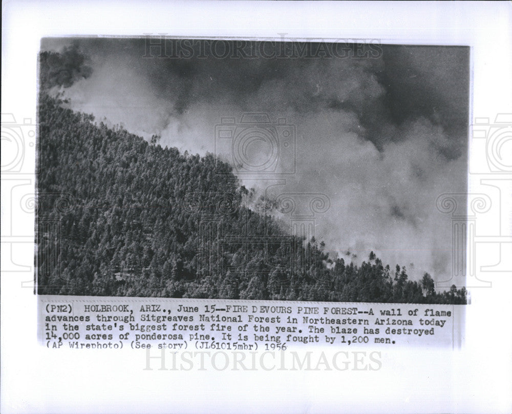 1956 Press Photo Forest fire in Sitgraves Natl Foresst Ariz - Historic Images