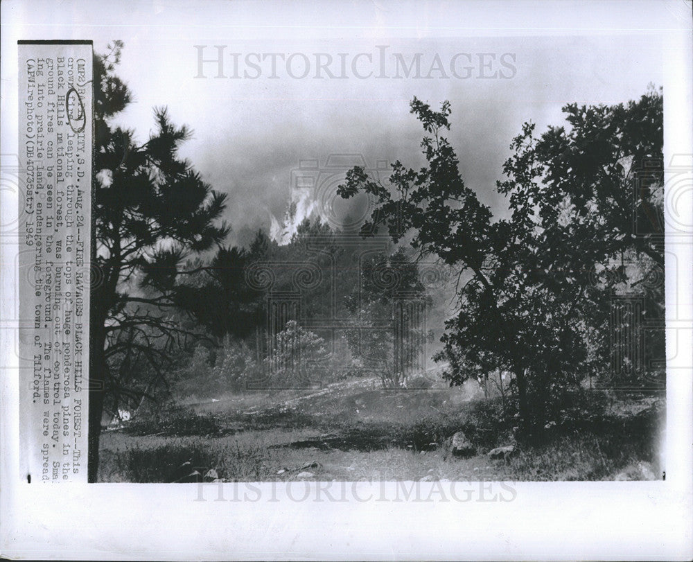 1949 Press Photo Forest Fire in Black Hills Natl Forest in S.Dak - Historic Images