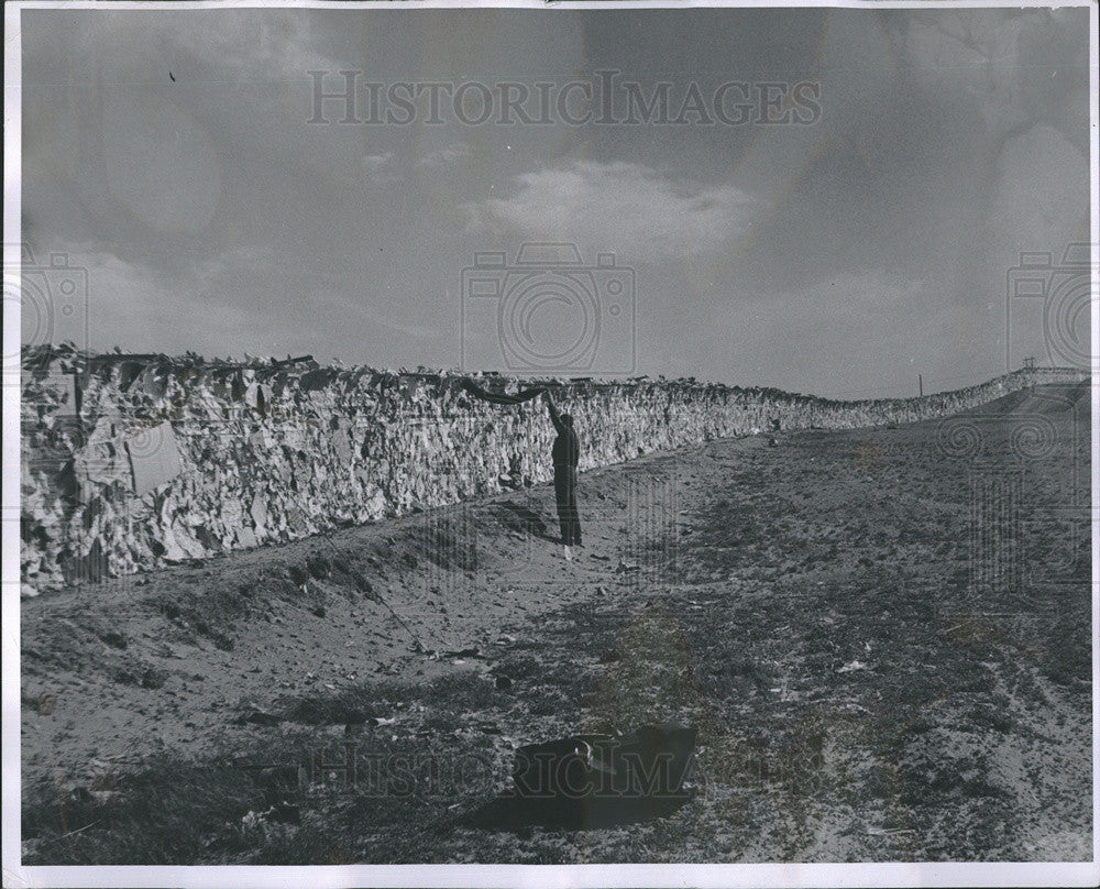 1955 Press Photo Windstorm in Cheyenne, Wyoming - Historic Images