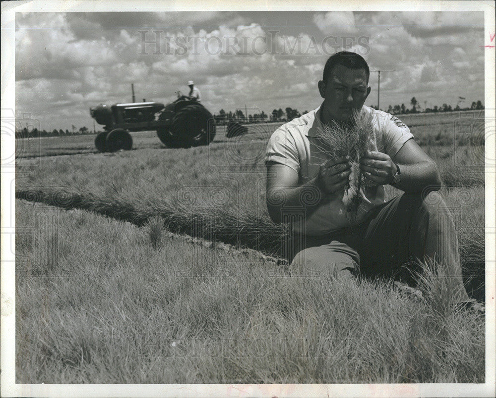 Press Photo Florida Forest Service - Historic Images