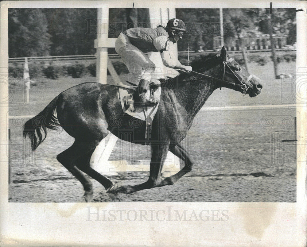 1970 Press Photo Jockey and Racehorse at Track - Historic Images