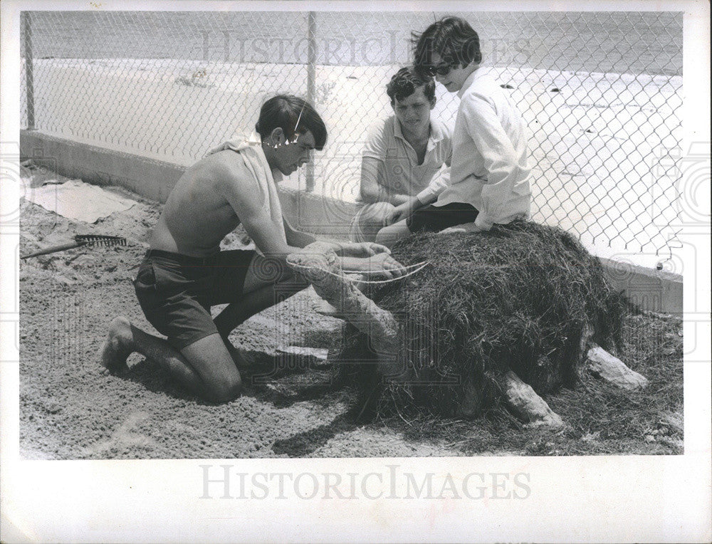 1969 Press Photo Childs Park Playground Chris Luers, Ramille Parran, Bob Lutes - Historic Images