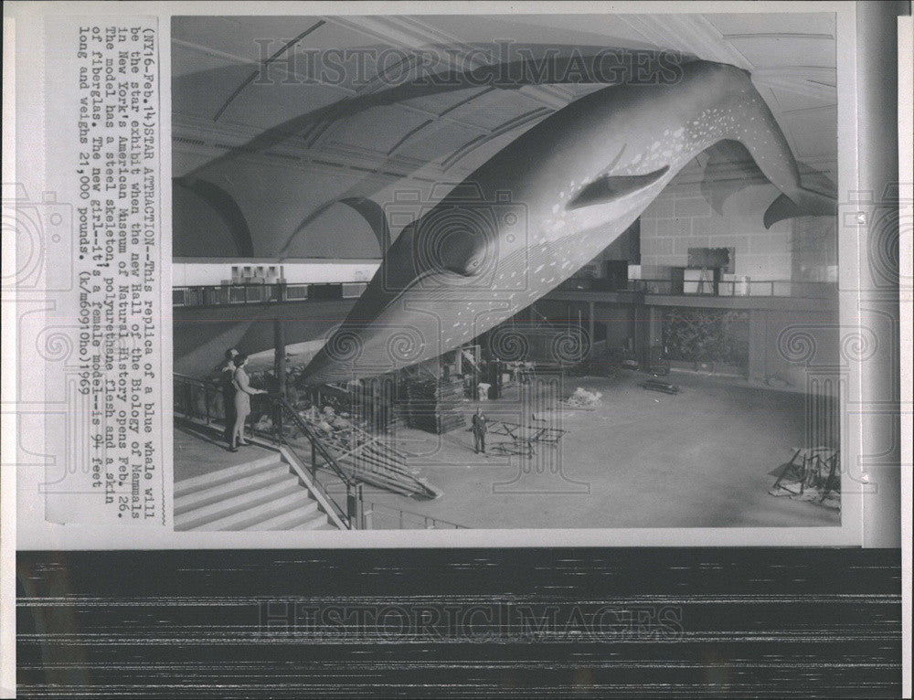 1969 Press Photo Replica Blue whale - Historic Images