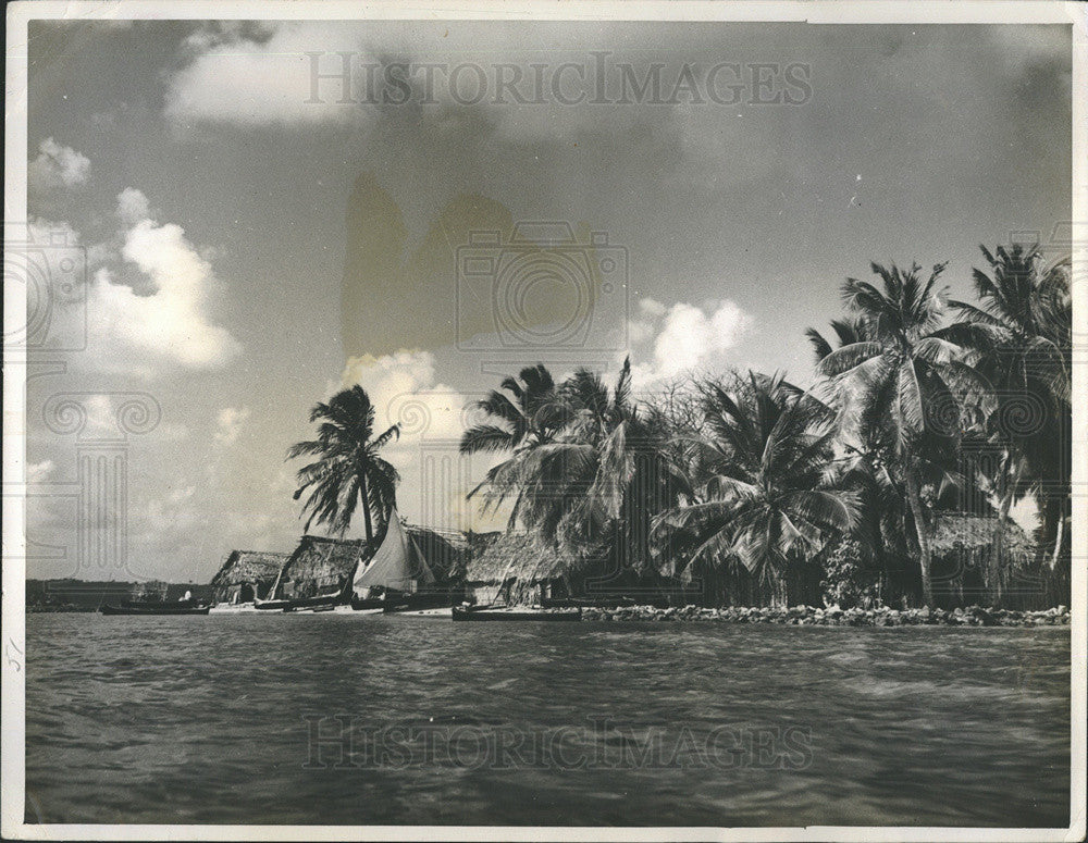 Press Photo San Blas Islands Palm Trees - Historic Images