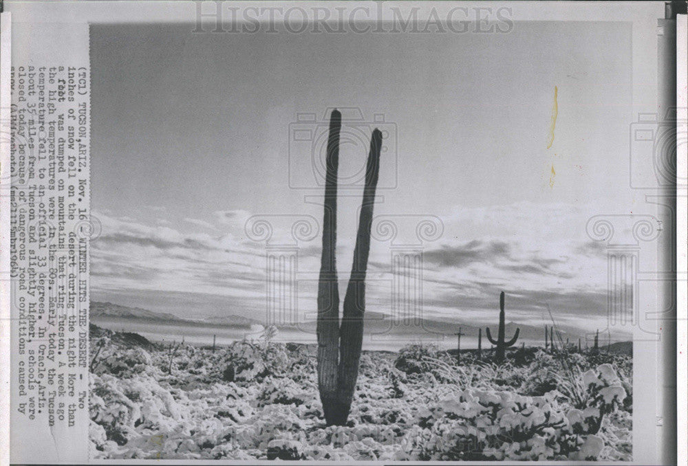 1964 Press Photo Snow Fall on the Desert in Tucson - Historic Images