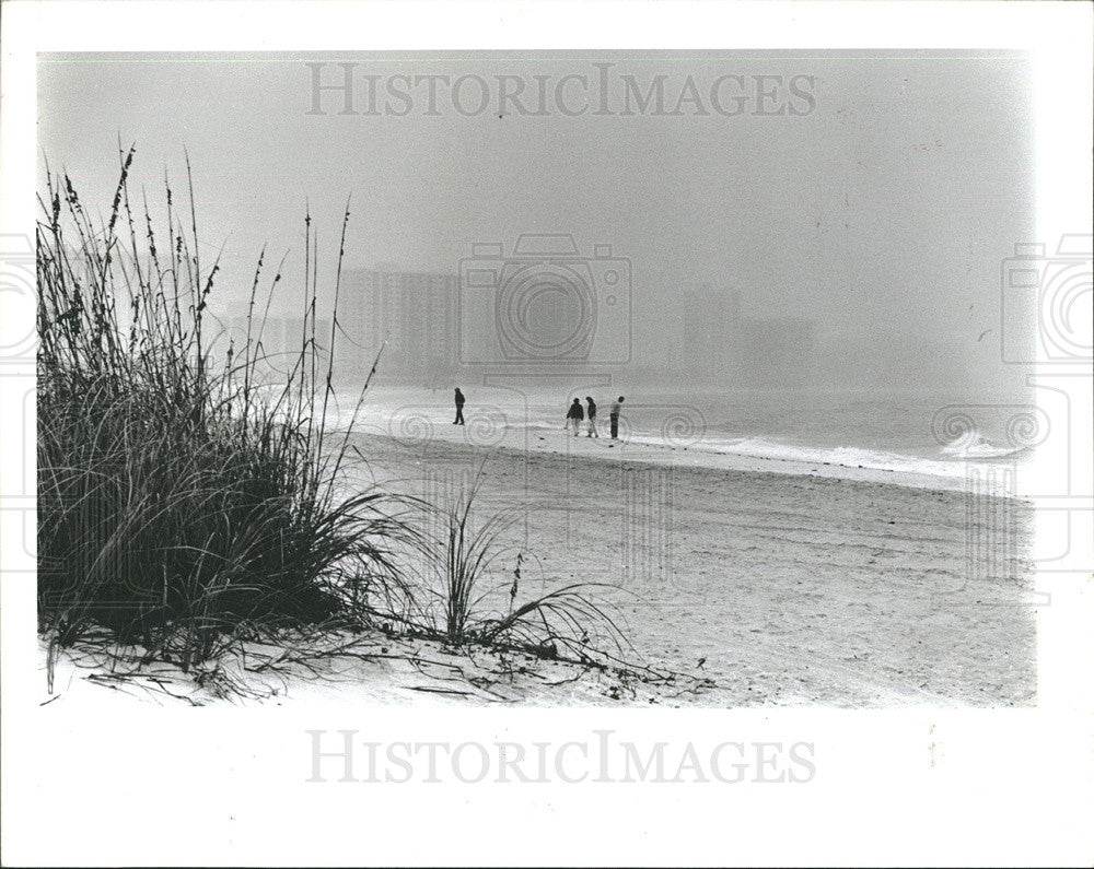 1988 Press Photo Early morning fog covers the beach on Sand Key - Historic Images