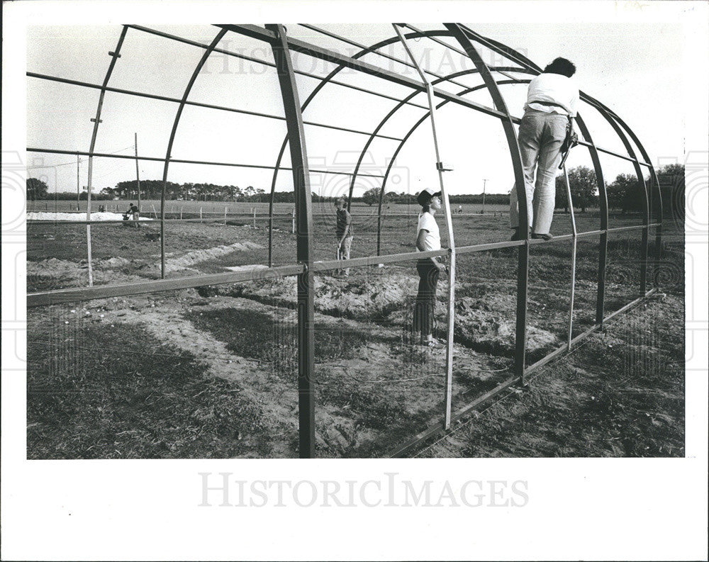 1982 Press Photo Building a greenhouse at the San Antonio Boys Village - Historic Images