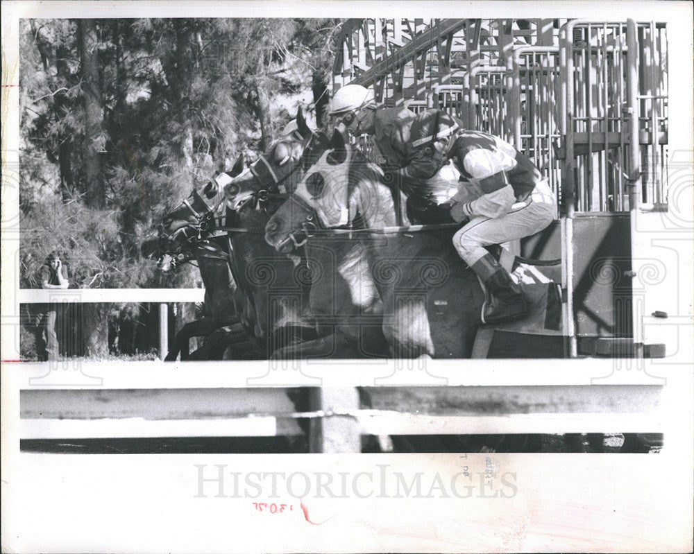 1973 Press Photo Horse Racing - Historic Images