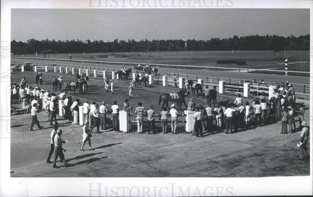 1975 Press Photo Florida Downs, horse racing. - Historic Images