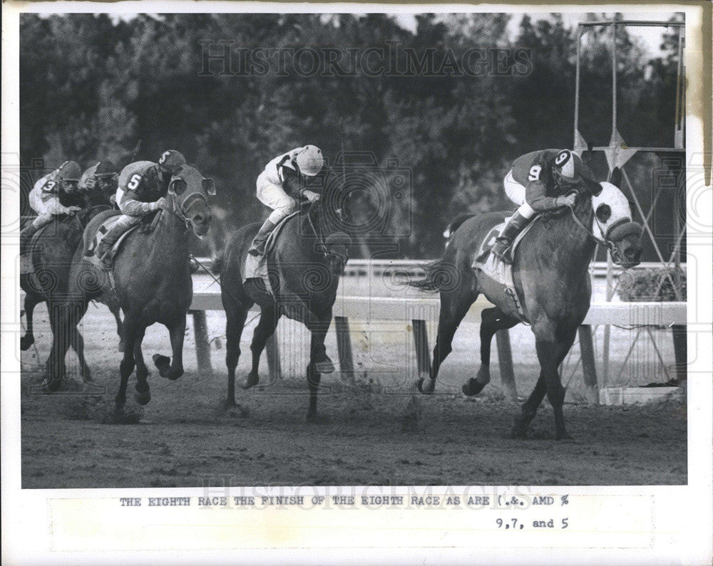 1975 Press Photo Finish of the eight race at Florida Downs. - Historic Images