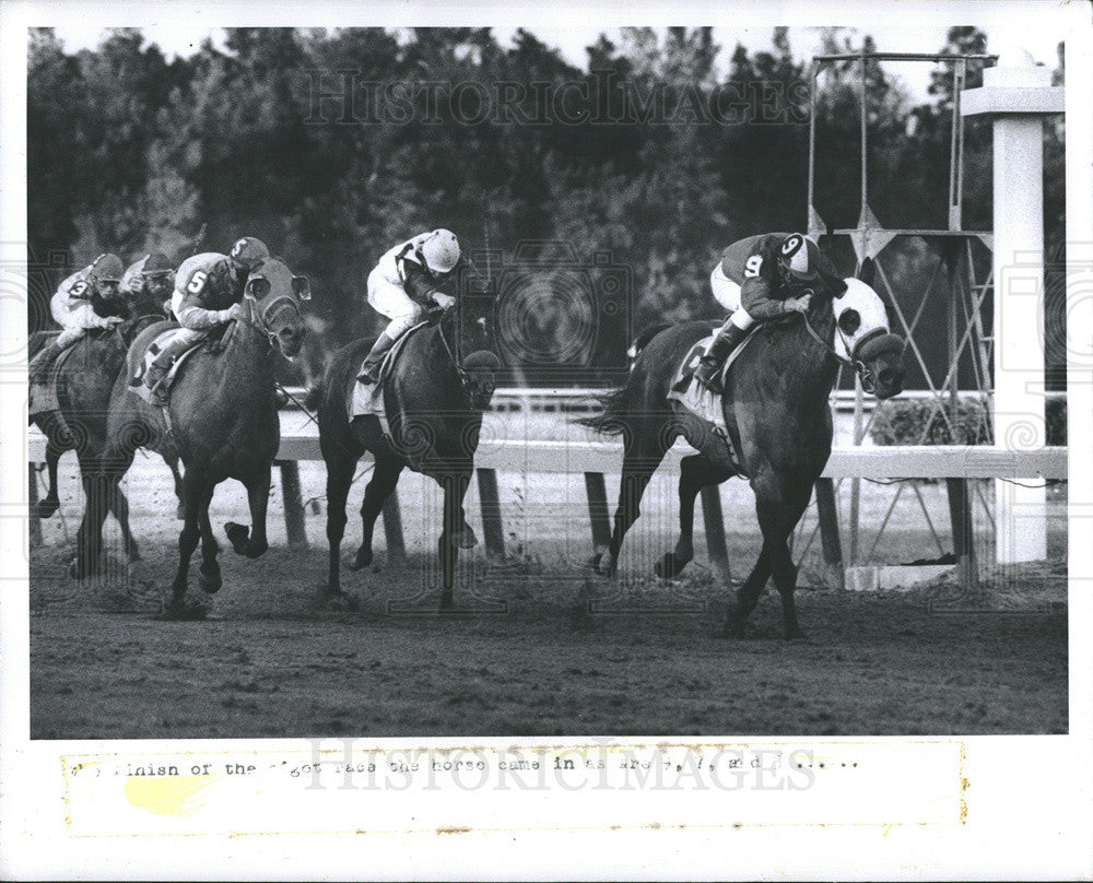 1975 Press Photo Florida 
Downs. - Historic Images